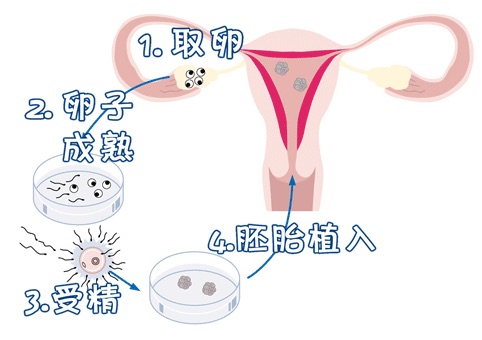 陈教授